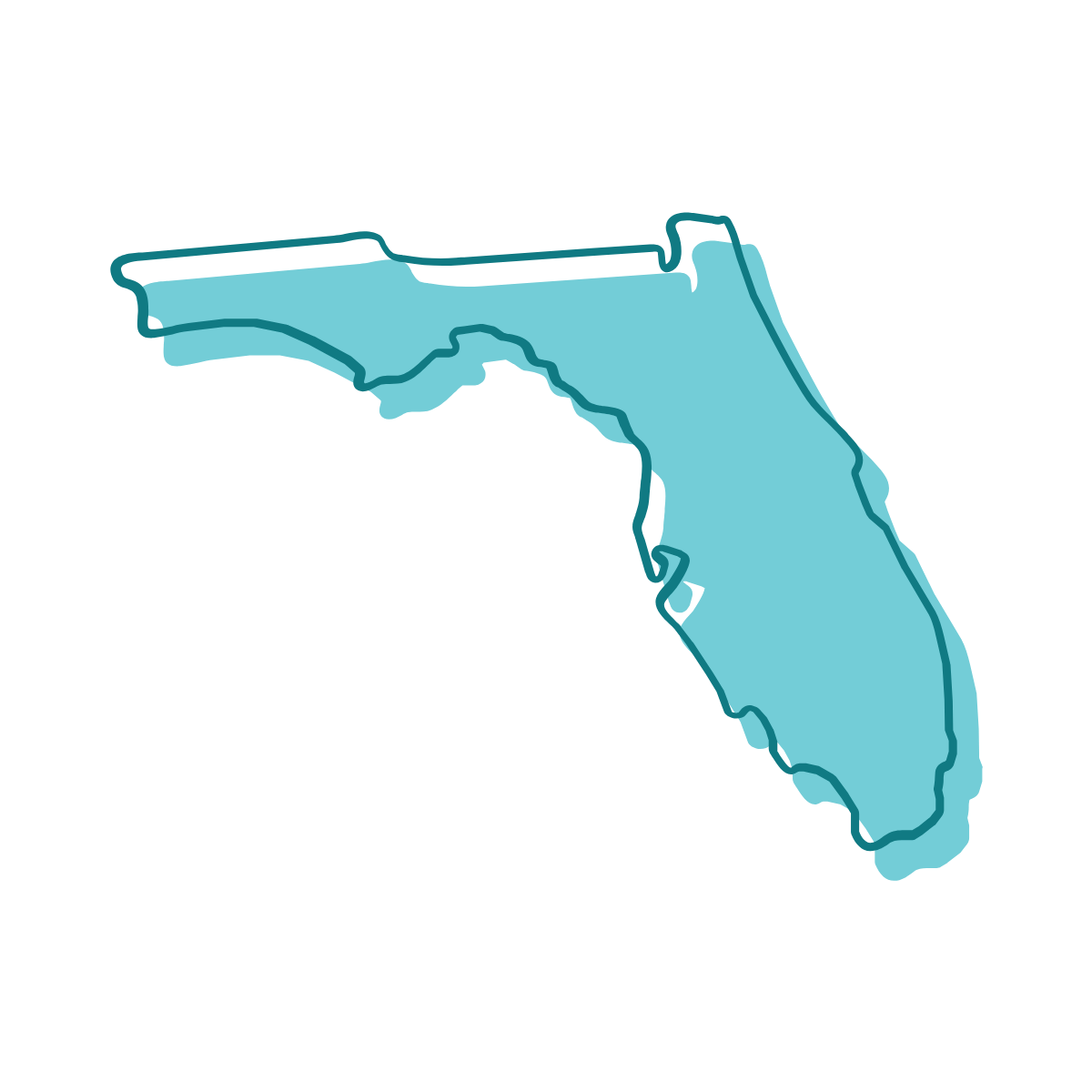 Florida - Teals